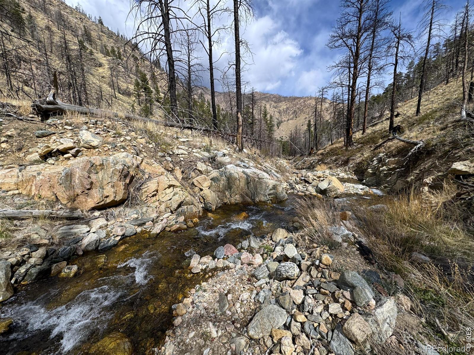 122 Black Hollow Road Bellvue CO 80512