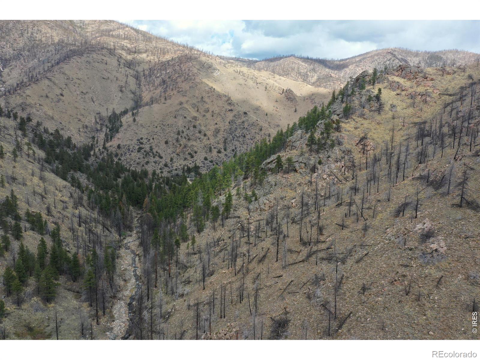 122 Black Hollow Road Bellvue CO 80512