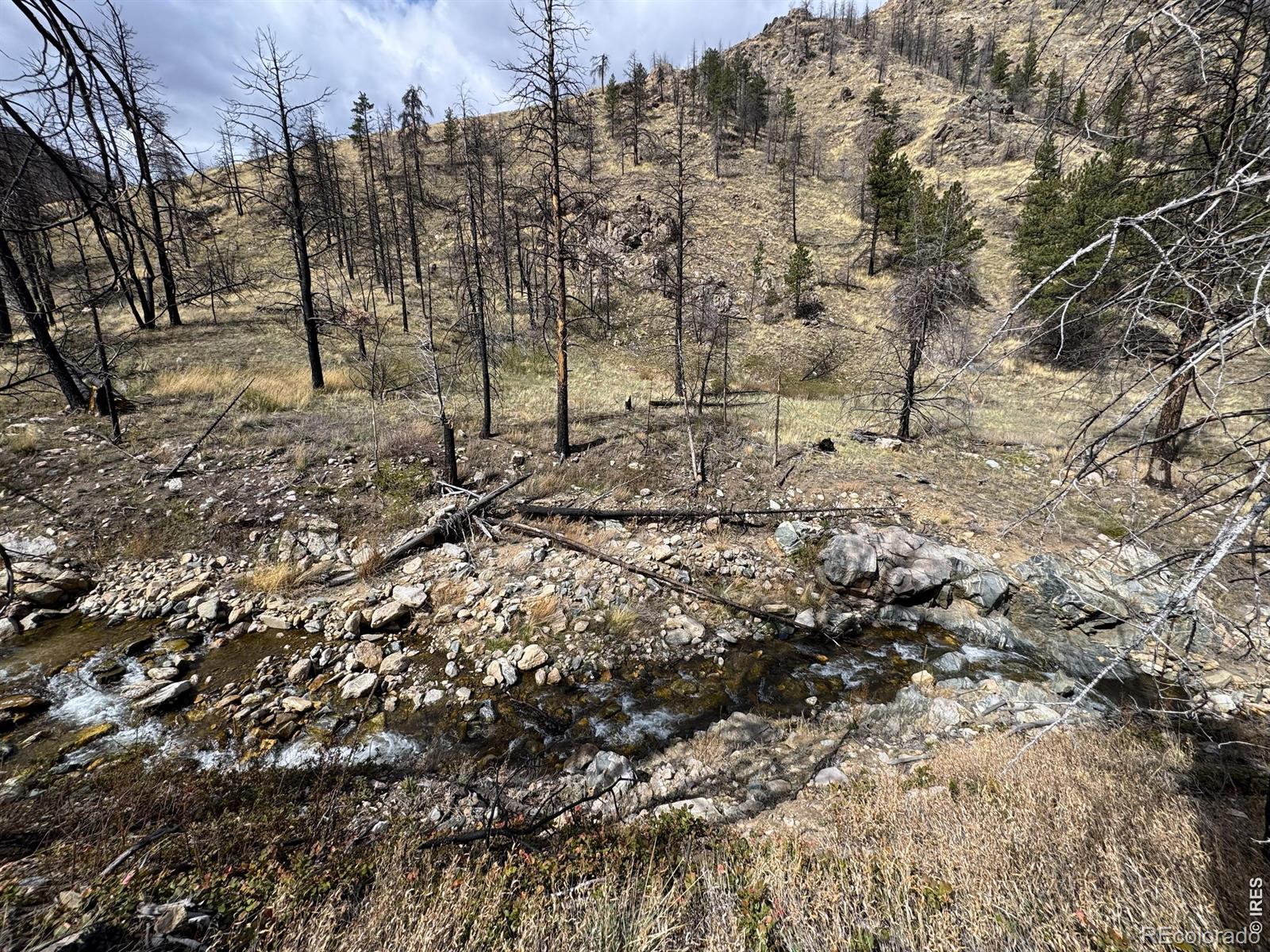 122 Black Hollow Road Bellvue CO 80512