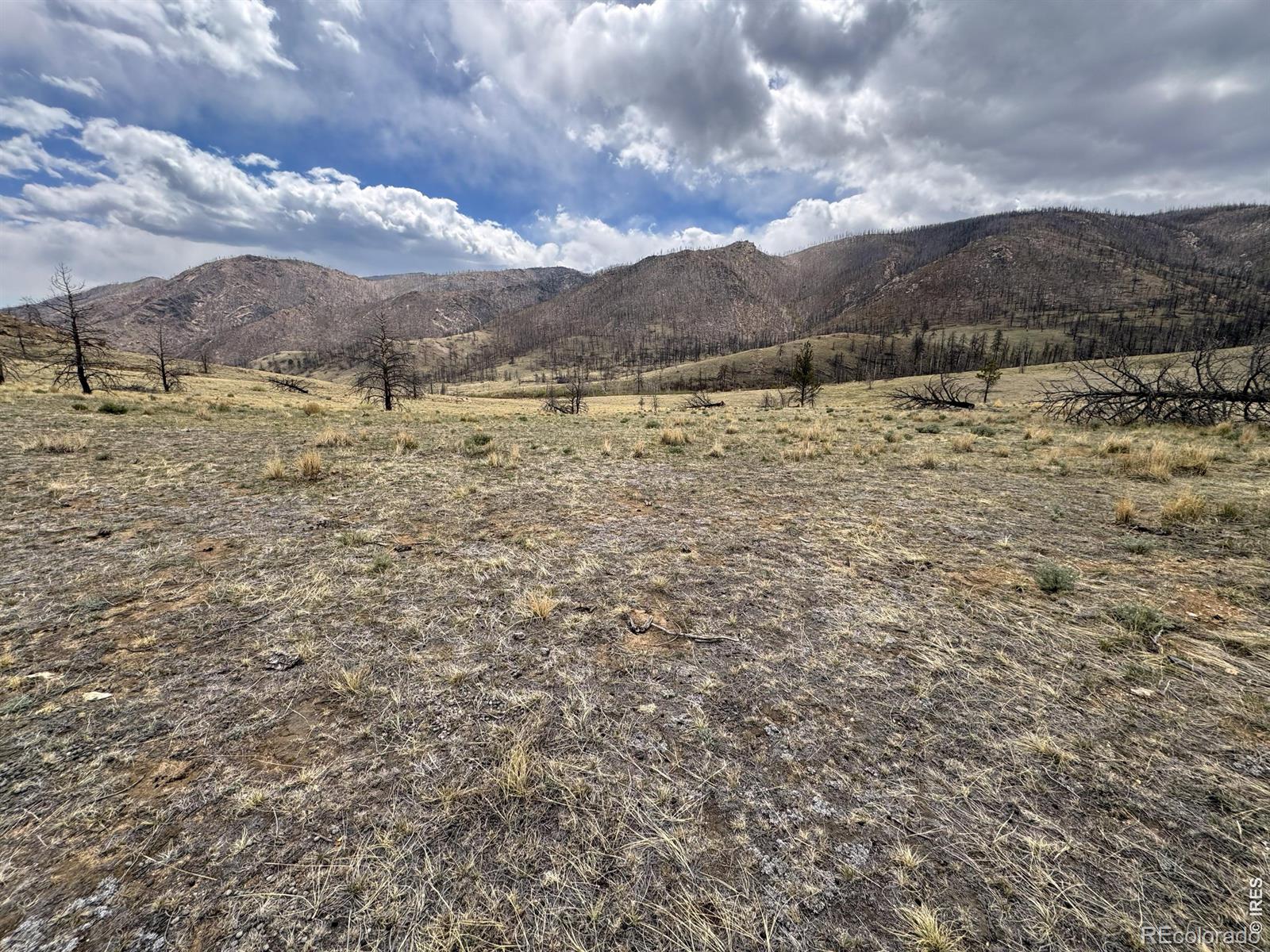 122 Black Hollow Road Bellvue CO 80512