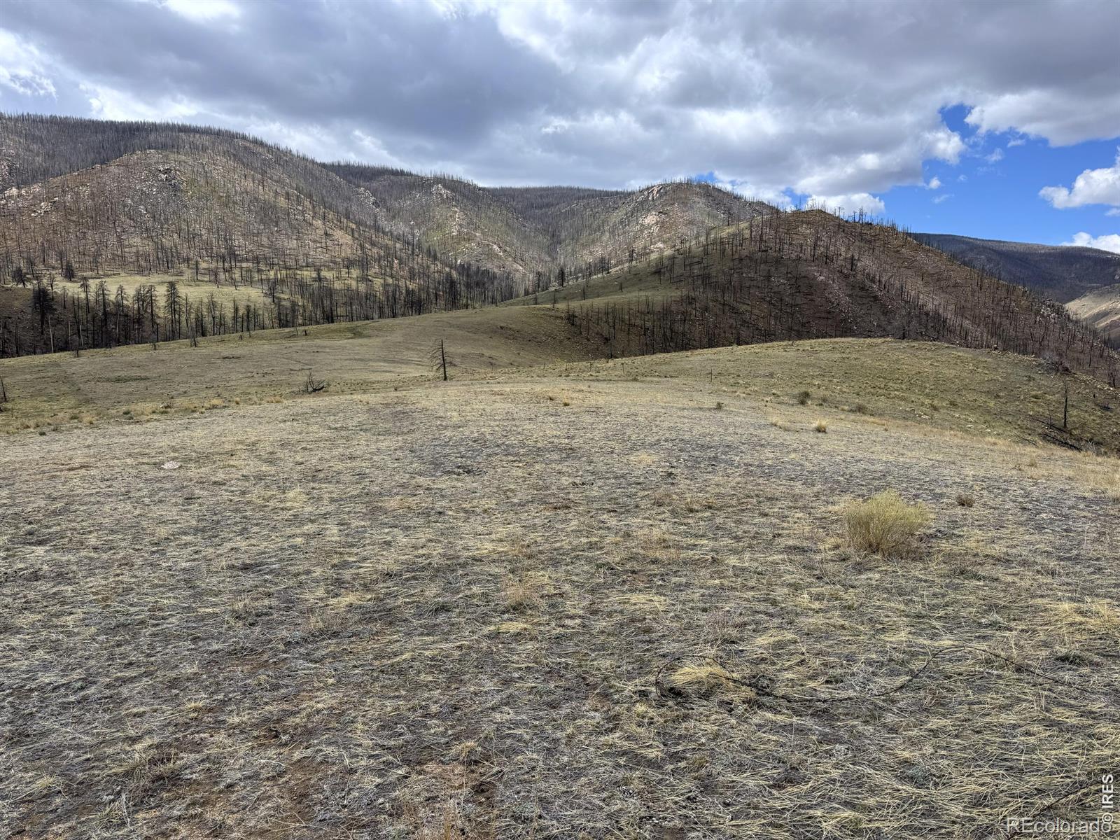 122 Black Hollow Road Bellvue CO 80512