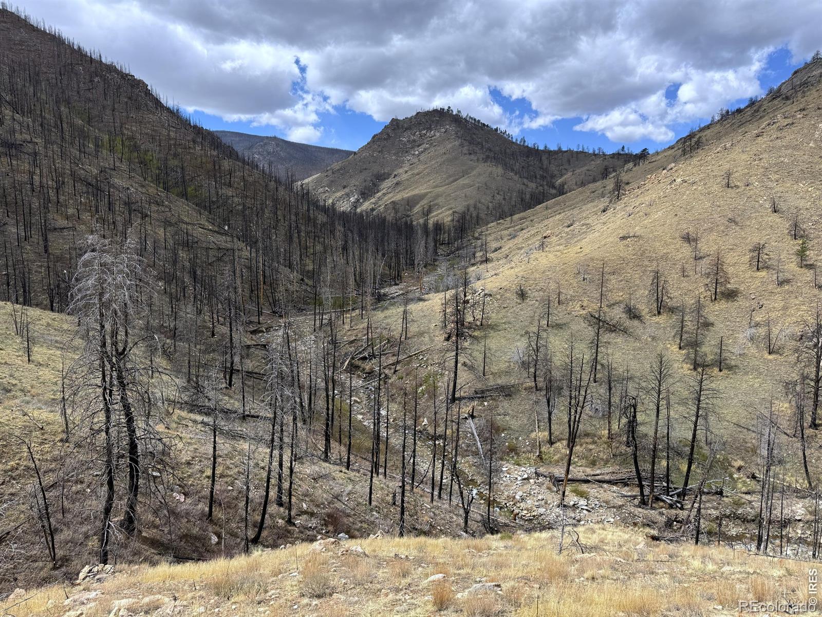 122 Black Hollow Road Bellvue CO 80512
