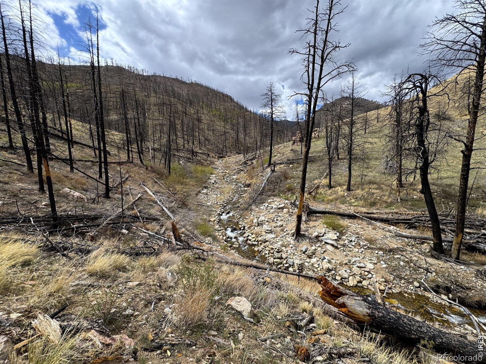 122 Black Hollow Road Bellvue CO 80512