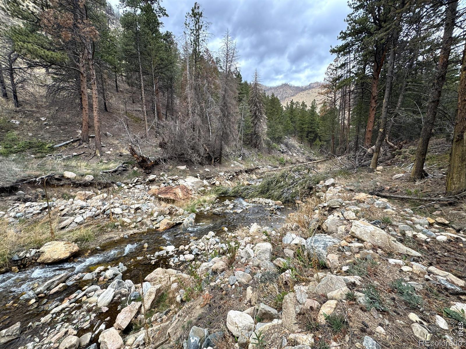 122 Black Hollow Road Bellvue CO 80512