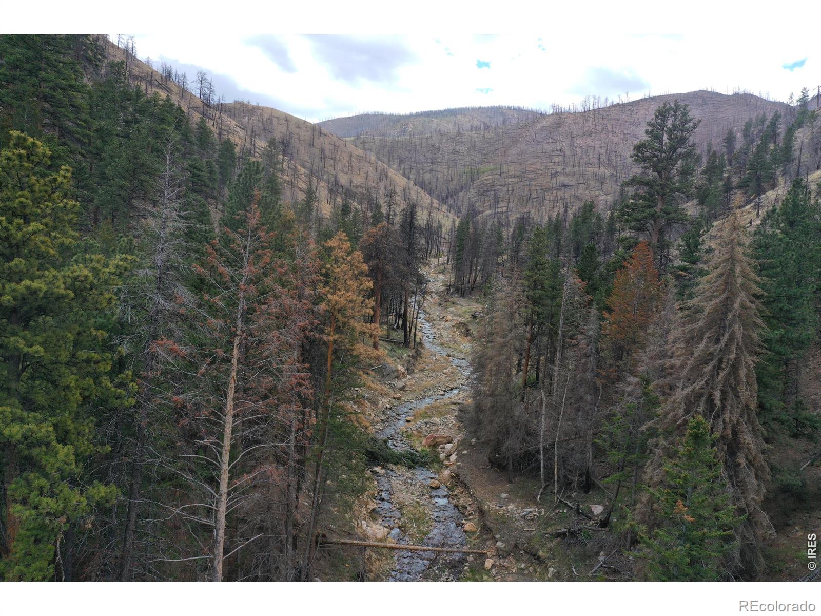 122 Black Hollow Road Bellvue CO 80512