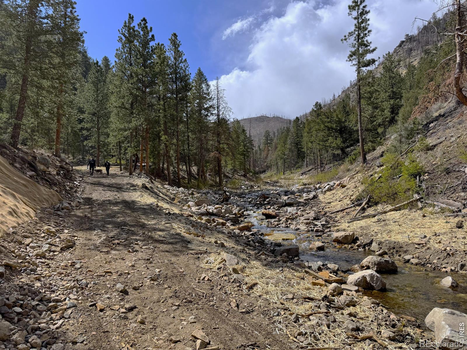 122 Black Hollow Road Bellvue CO 80512