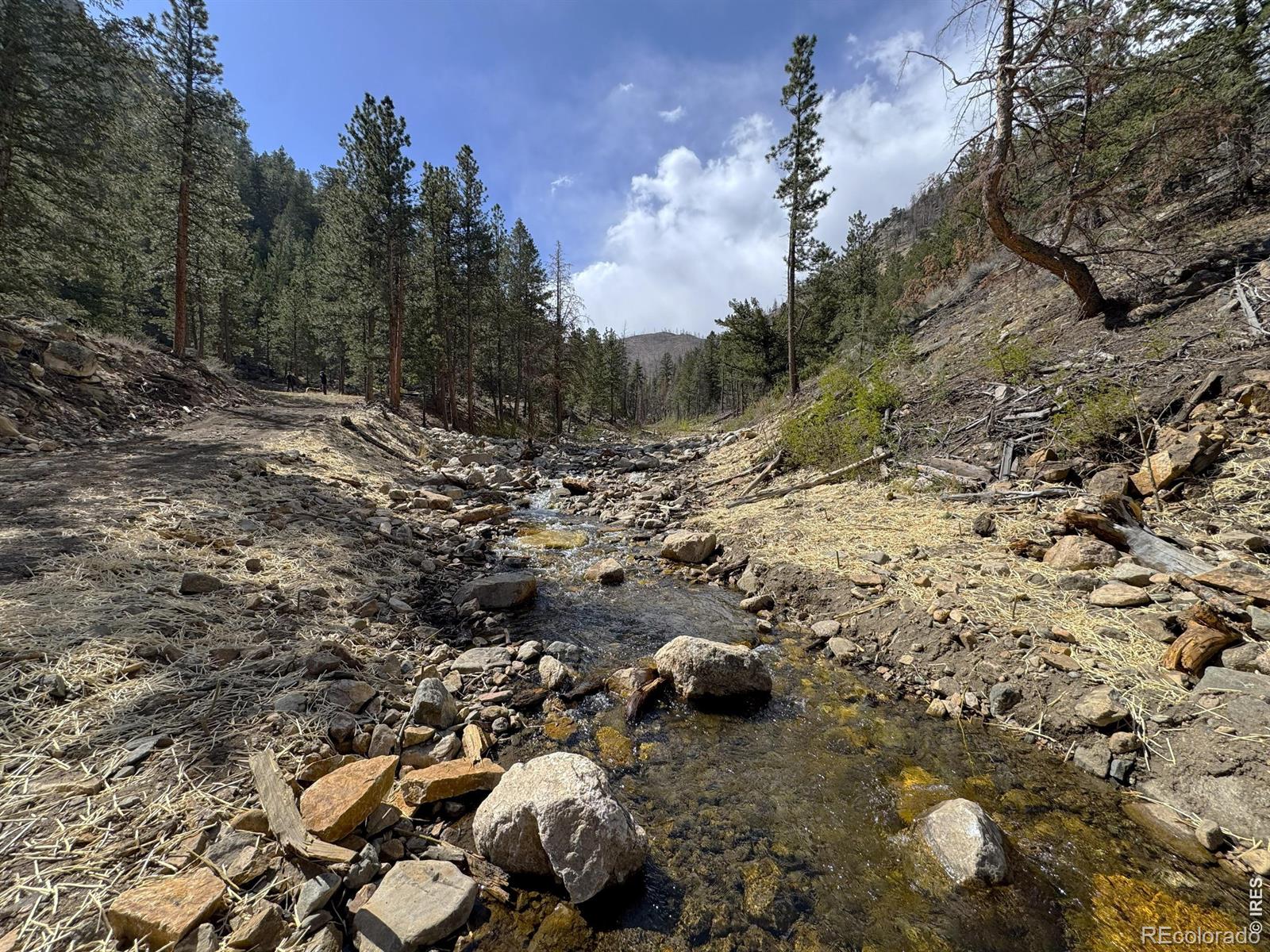 122 Black Hollow Road Bellvue CO 80512