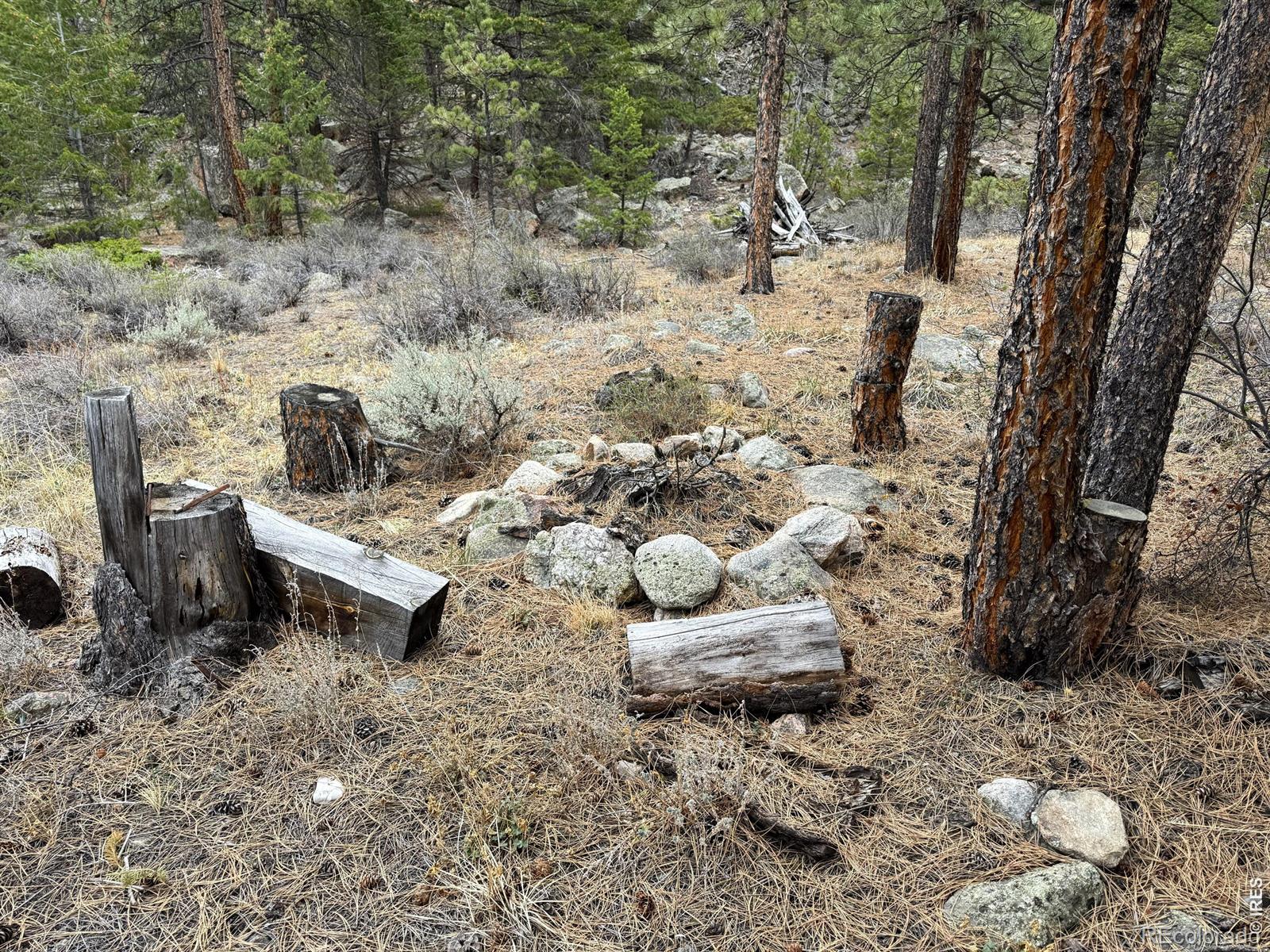 122 Black Hollow Road Bellvue CO 80512