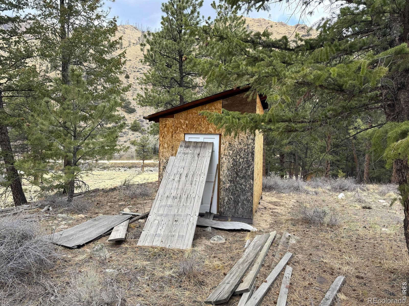122 Black Hollow Road Bellvue CO 80512