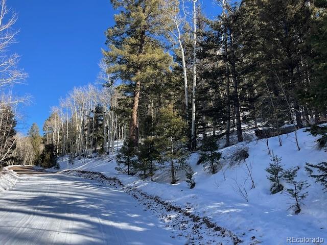 Lot 5339 Howard Road Fort Garland CO 81133