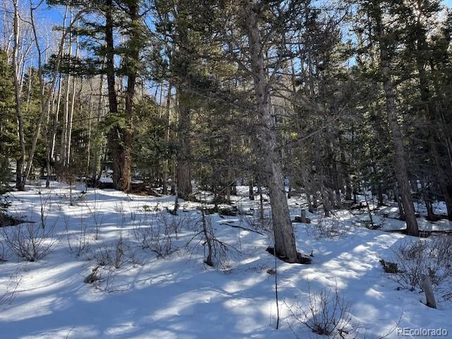 Lot 5339 Howard Road Fort Garland CO 81133