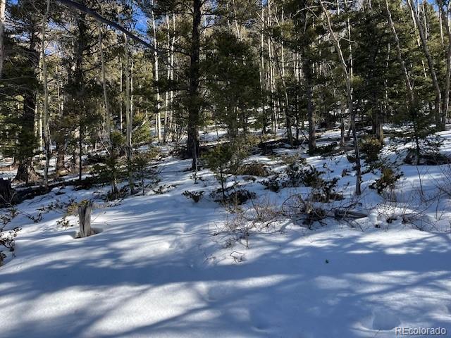 Lot 5339 Howard Road Fort Garland CO 81133
