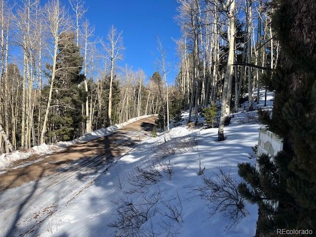 Lot 5339 Howard Road Fort Garland CO 81133