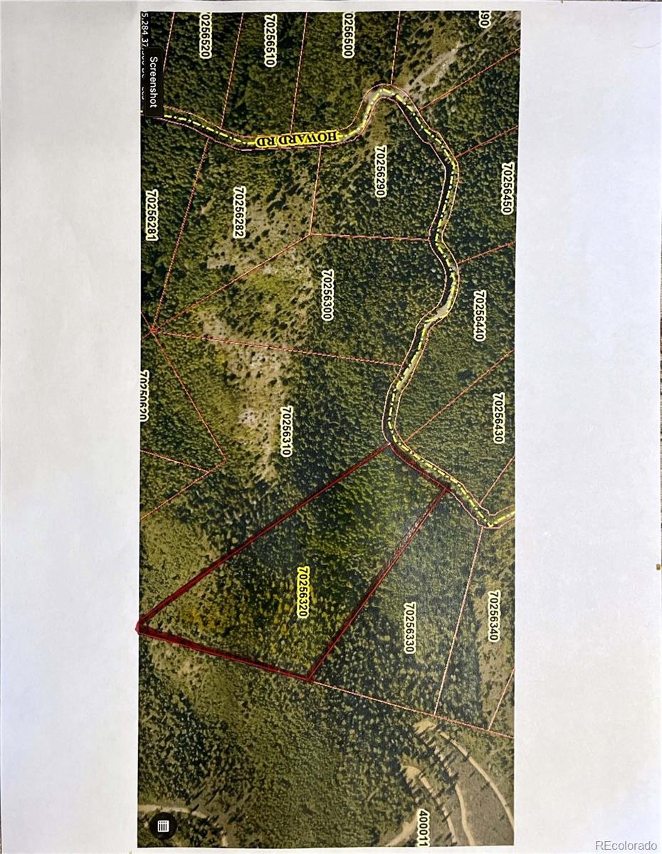 Lot 5339 Howard Road Fort Garland CO 81133