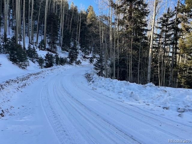 Lot 5339 Howard Road Fort Garland CO 81133