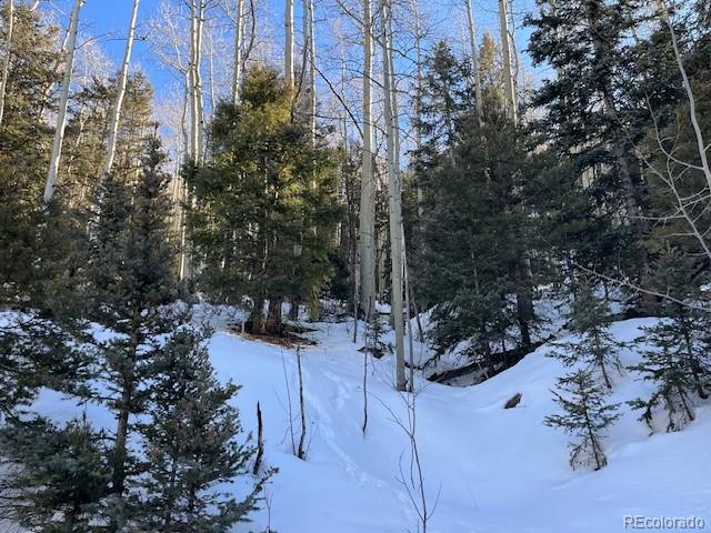 Lot 5339 Howard Road Fort Garland CO 81133