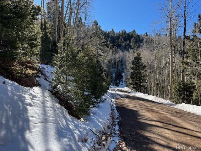 Lot 5339 Howard Road Fort Garland CO 81133