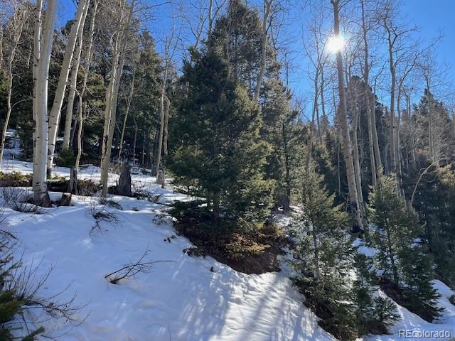 Lot 5339 Howard Road Fort Garland CO 81133