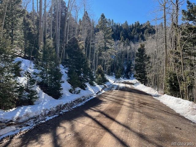Lot 5339 Howard Road Fort Garland CO 81133