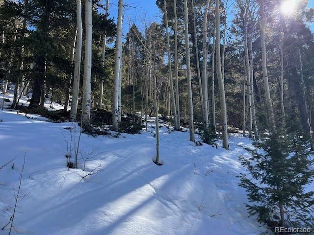 Lot 5339 Howard Road Fort Garland CO 81133