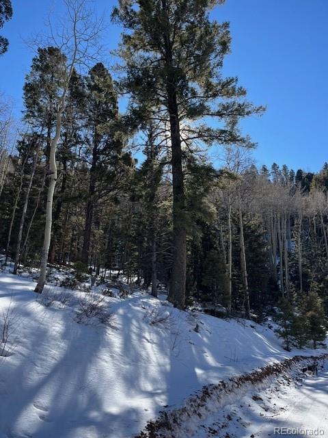 Lot 5339 Howard Road Fort Garland CO 81133
