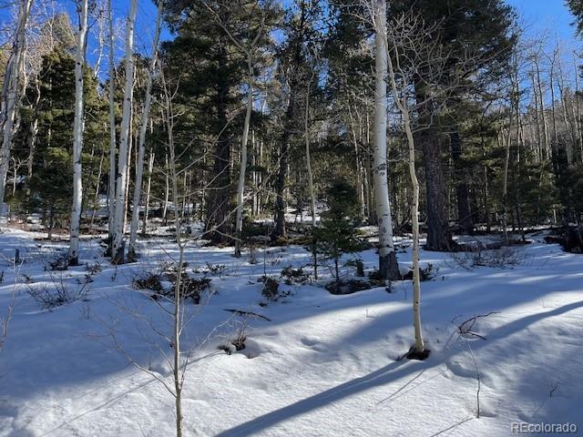 Lot 5339 Howard Road Fort Garland CO 81133