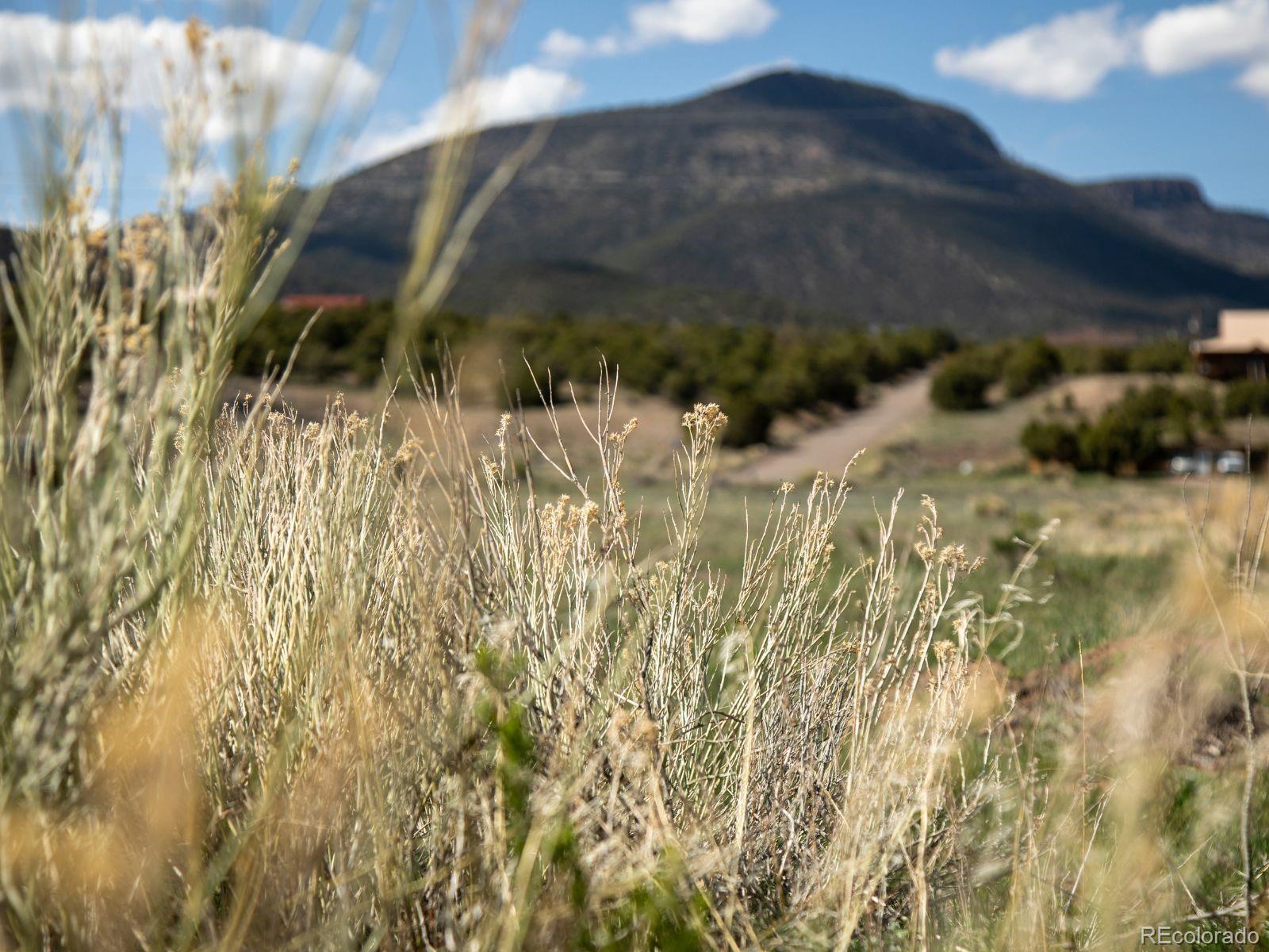 127 Brown's Road South Fork CO 81154
