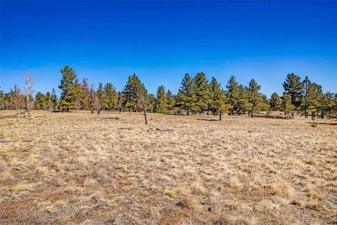 2226 Pitchfork Road Hartsel CO 80449