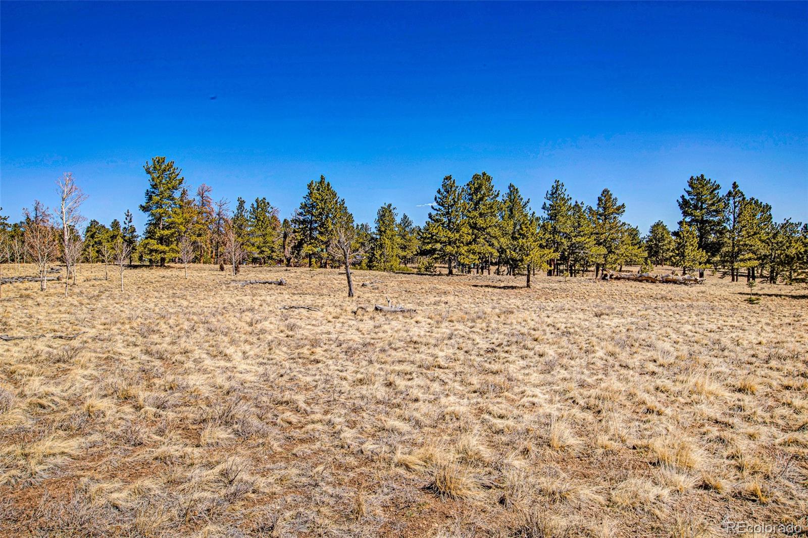 2226 Pitchfork Road Hartsel CO 80449