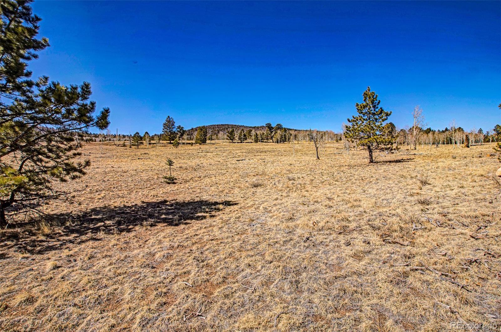 2226 Pitchfork Road Hartsel CO 80449