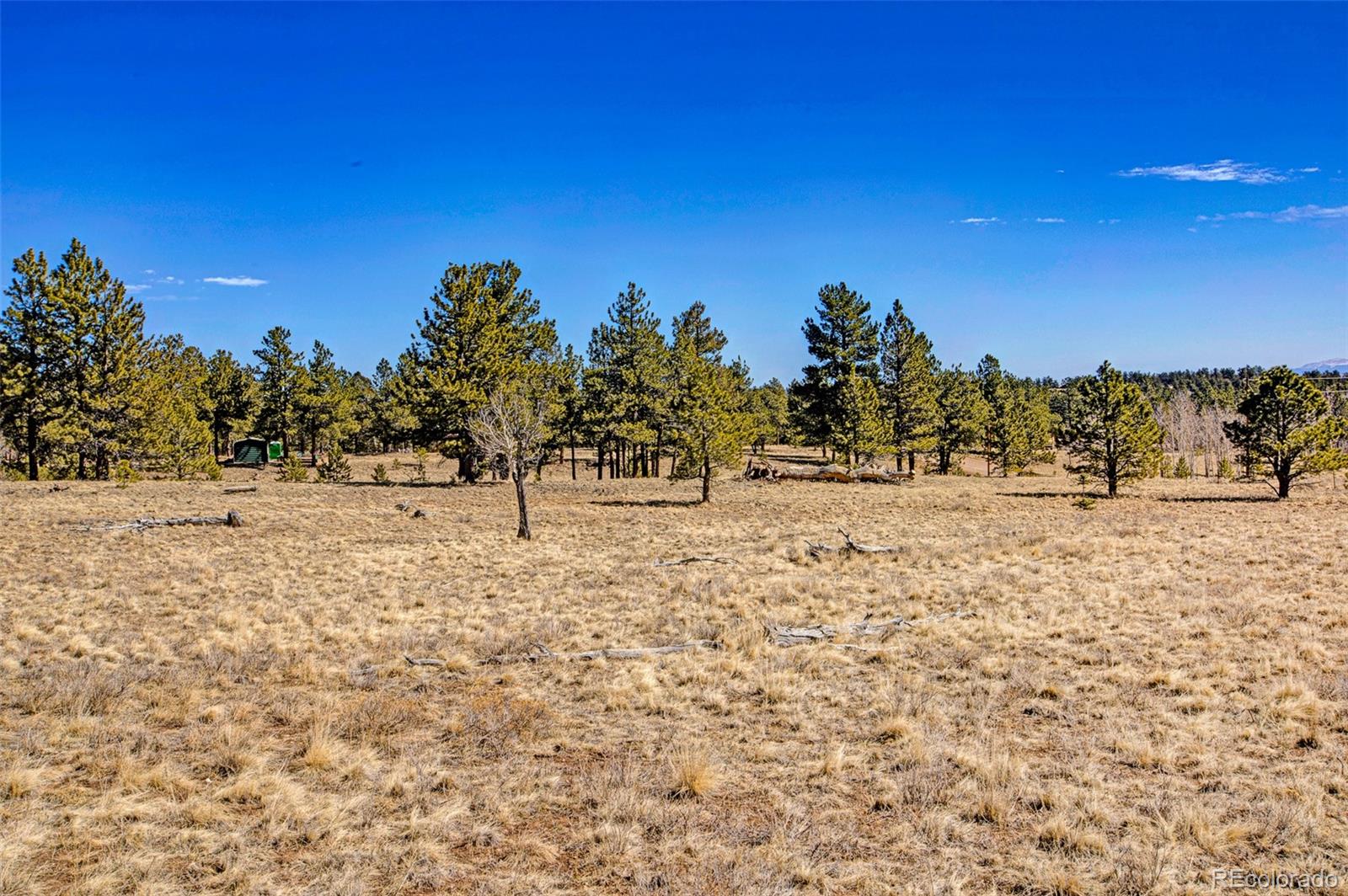 2226 Pitchfork Road Hartsel CO 80449