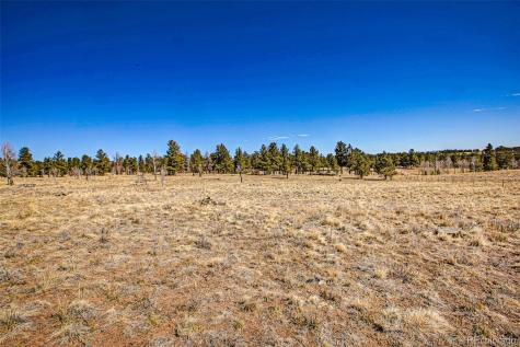 2226 Pitchfork Road Hartsel CO 80449