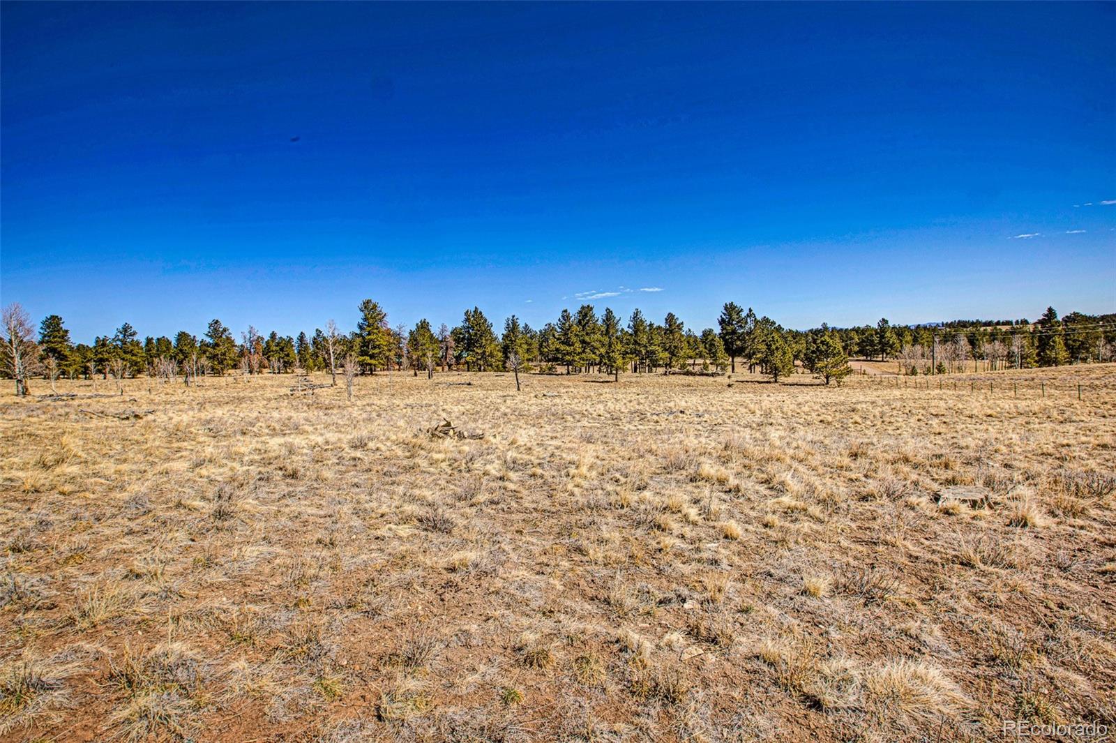 2226 Pitchfork Road Hartsel CO 80449