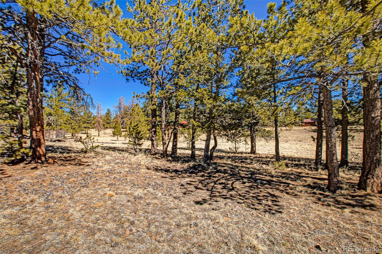 2226 Pitchfork Road Hartsel CO 80449