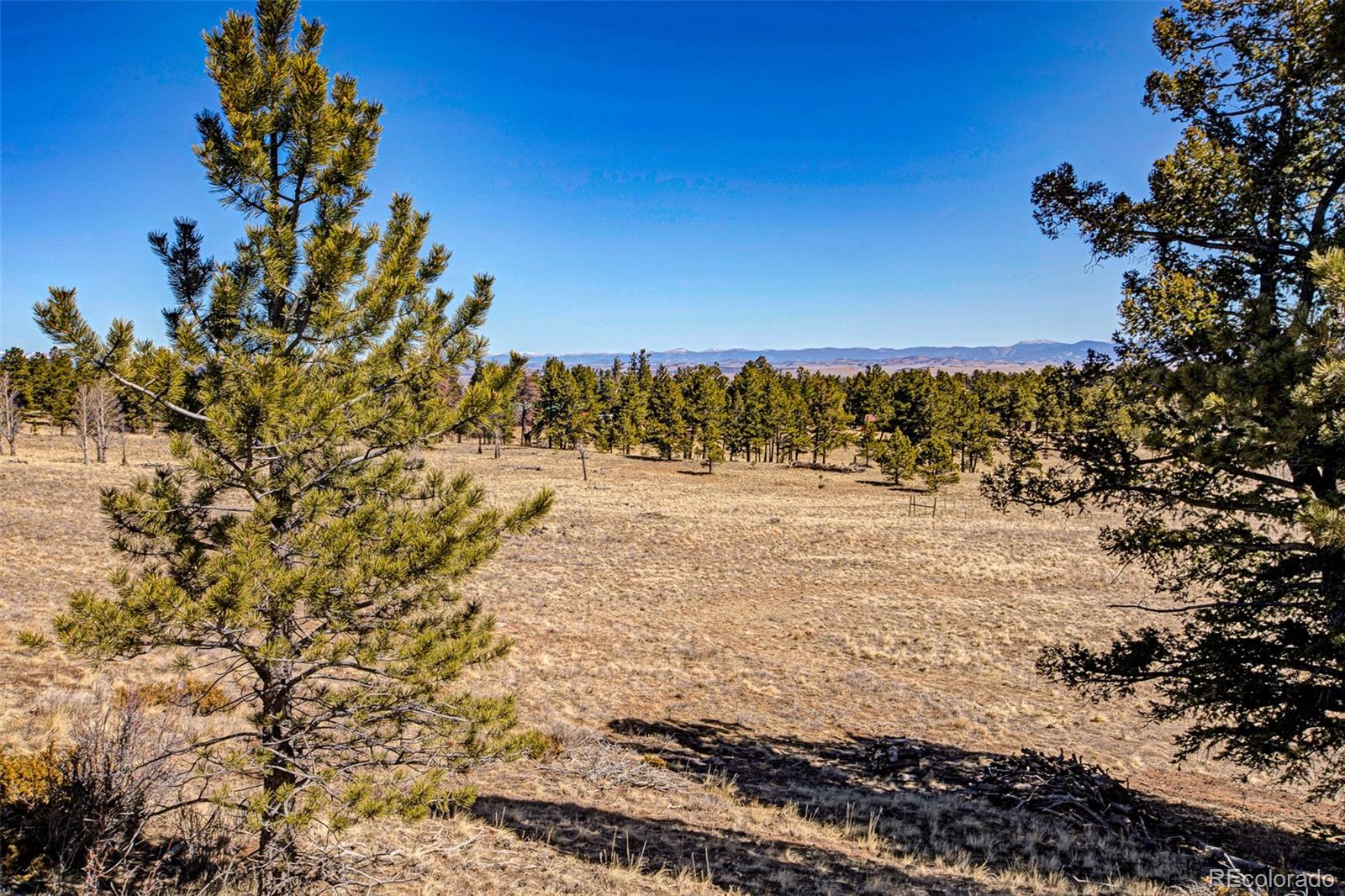 2226 Pitchfork Road Hartsel CO 80449