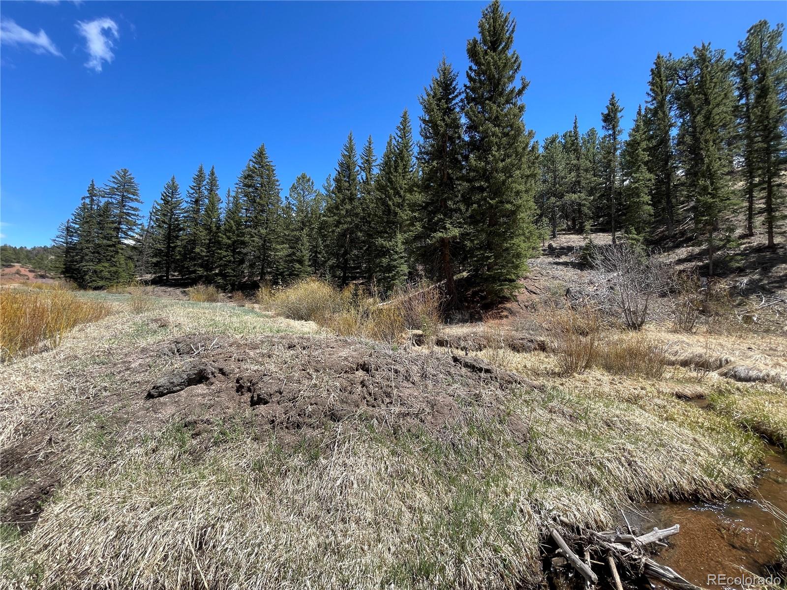 00 Wildhorn Road Florissant CO 80816