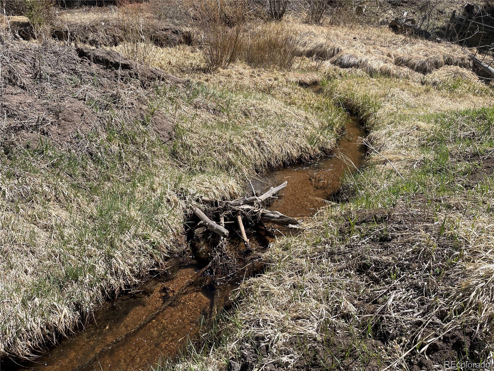 00 Wildhorn Road Florissant CO 80816