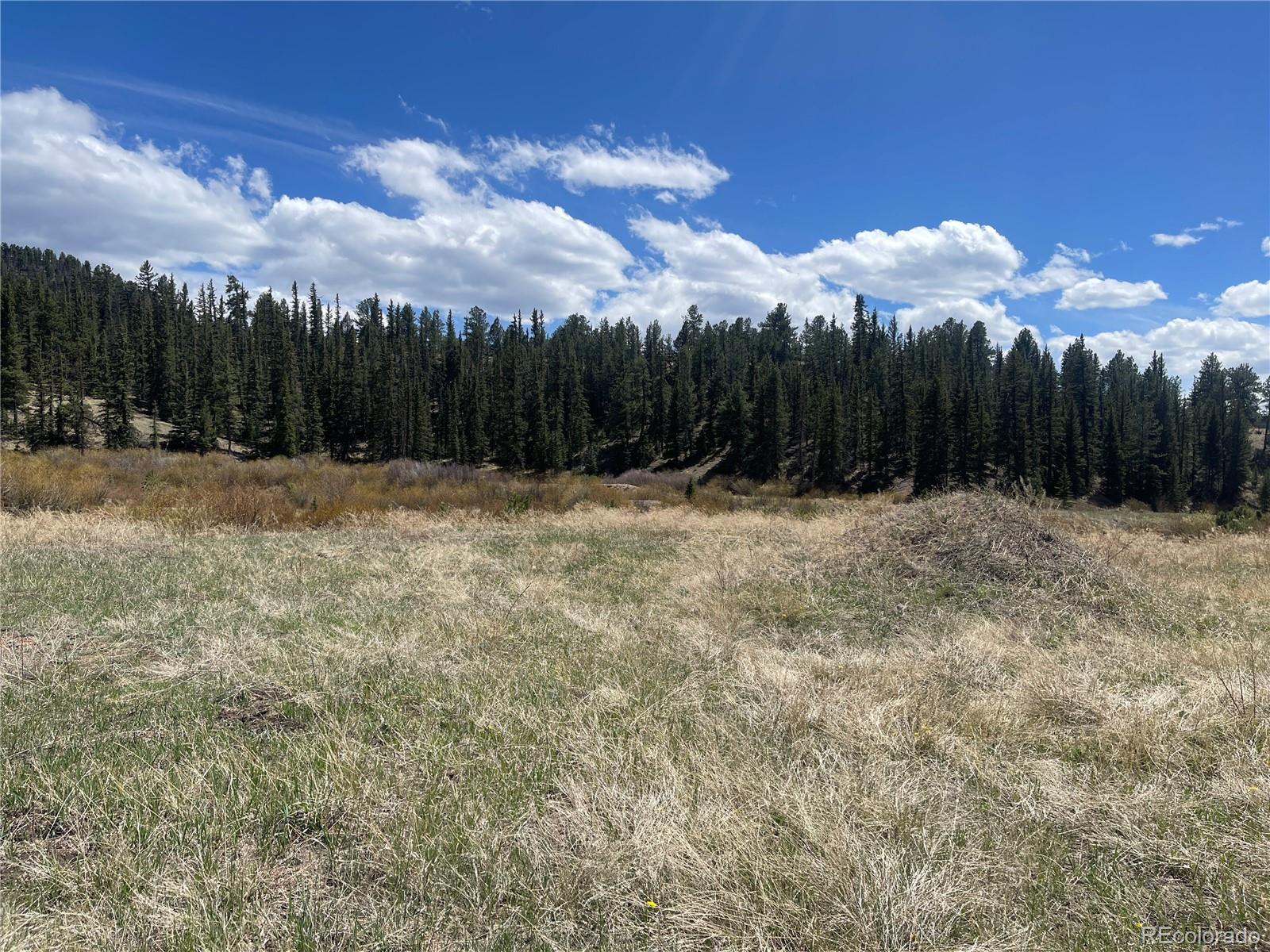 00 Wildhorn Road Florissant CO 80816
