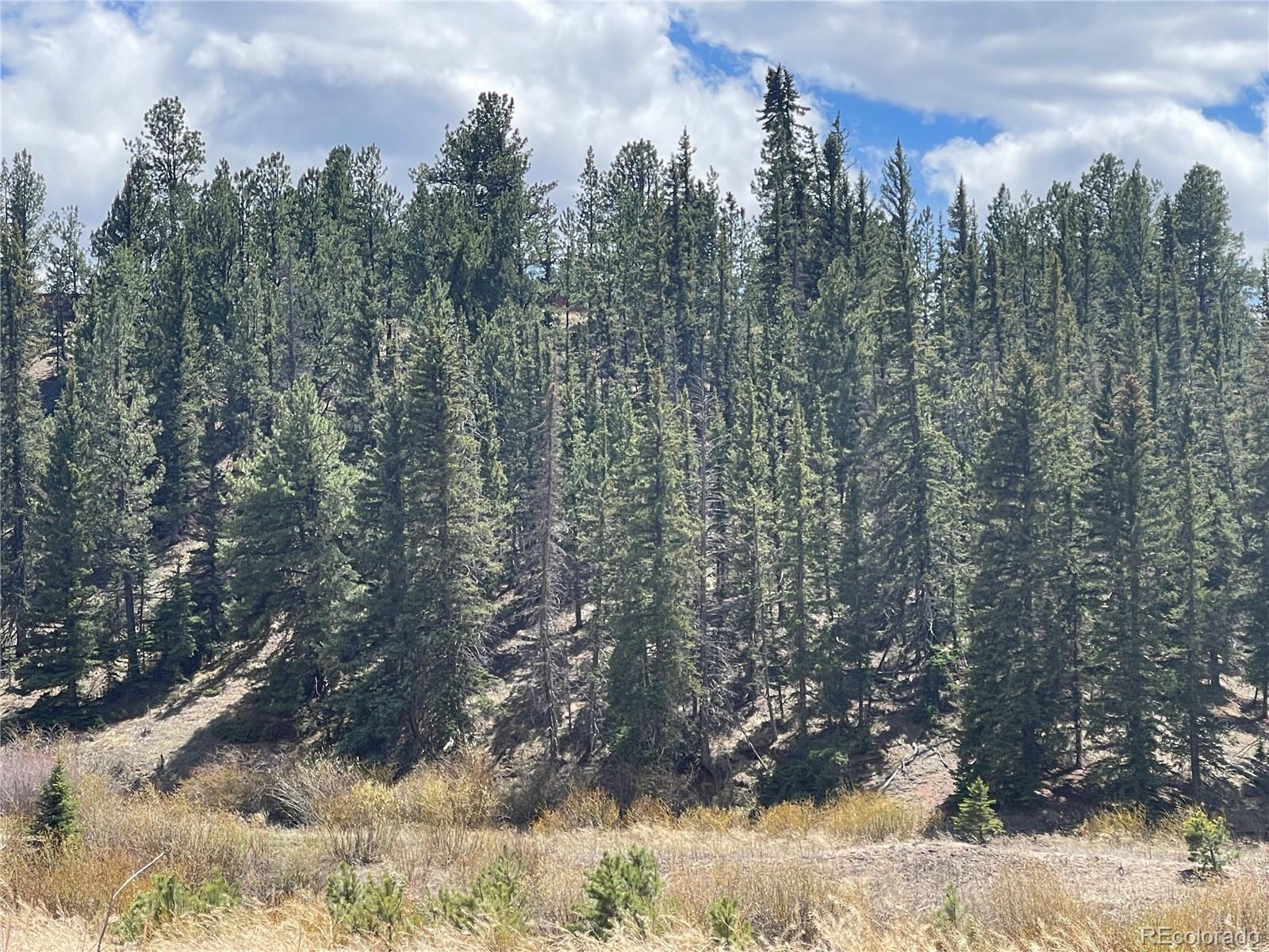 00 Wildhorn Road Florissant CO 80816