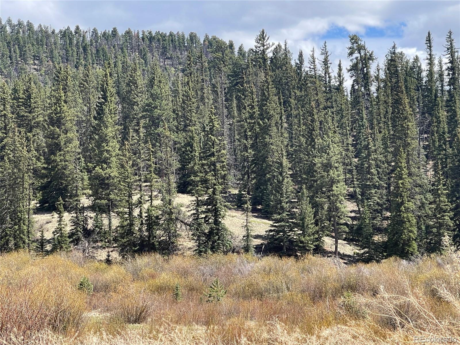 00 Wildhorn Road Florissant CO 80816