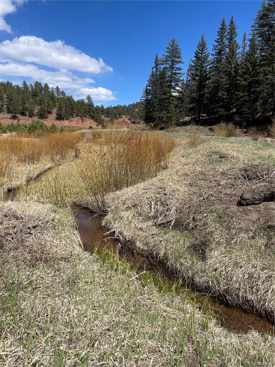 00 Wildhorn Road Florissant CO 80816