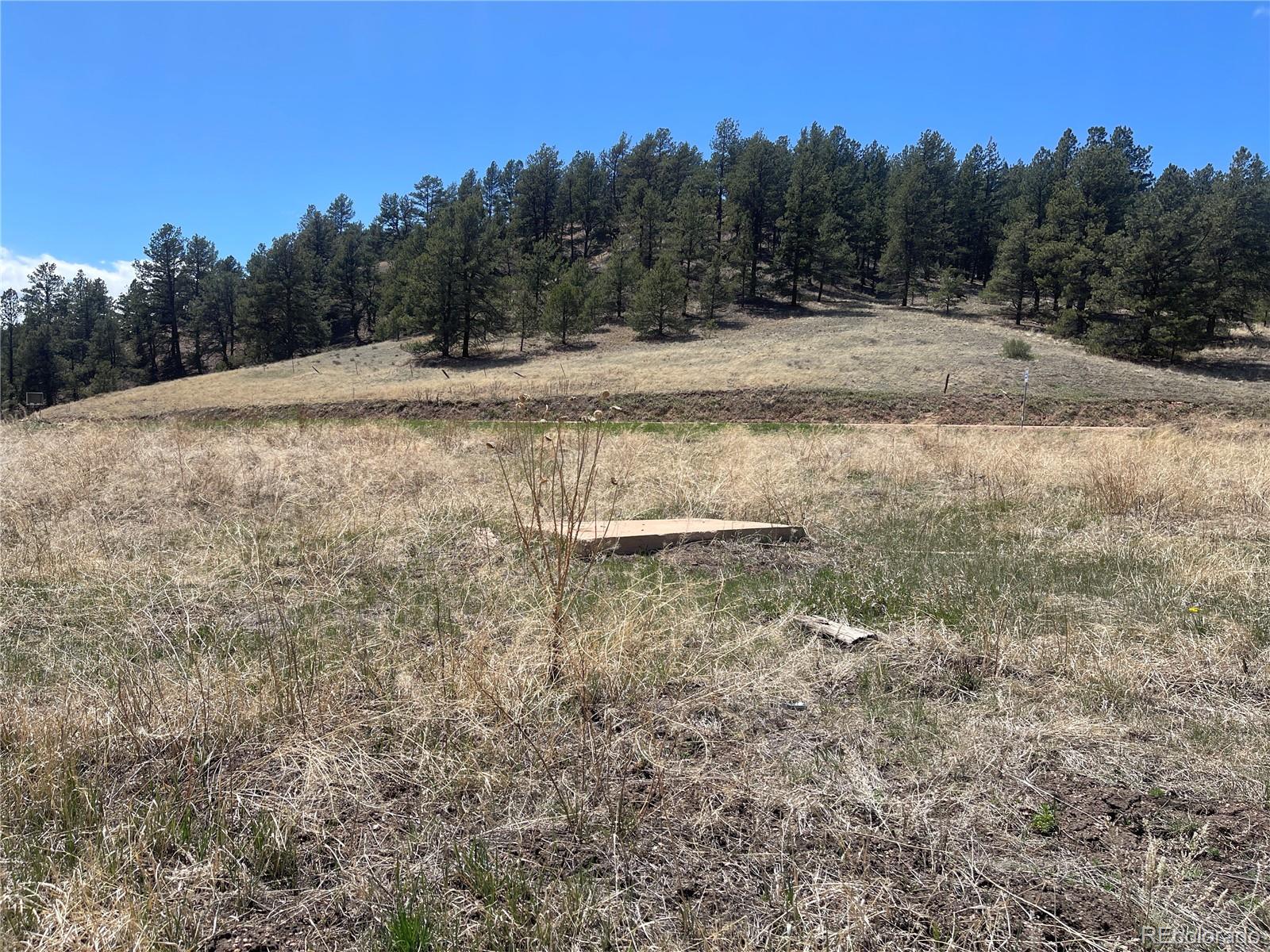 00 Wildhorn Road Florissant CO 80816