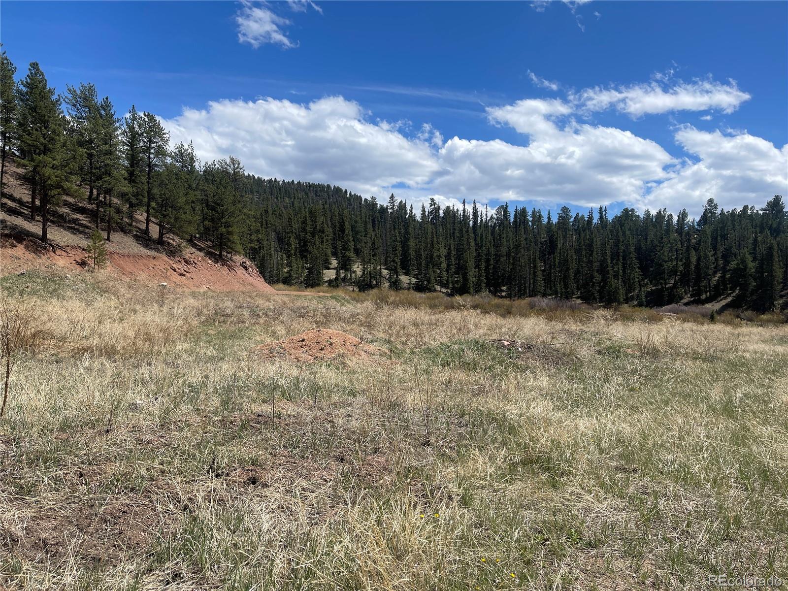 00 Wildhorn Road Florissant CO 80816