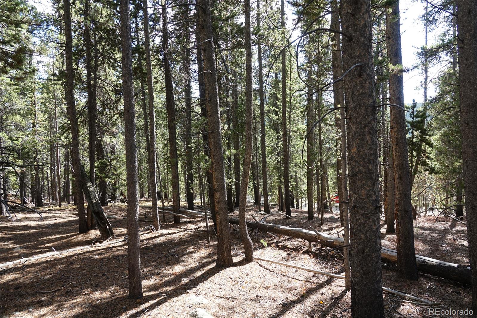 000 Loch Lomond Road & Vista Road Idaho Springs CO 80452