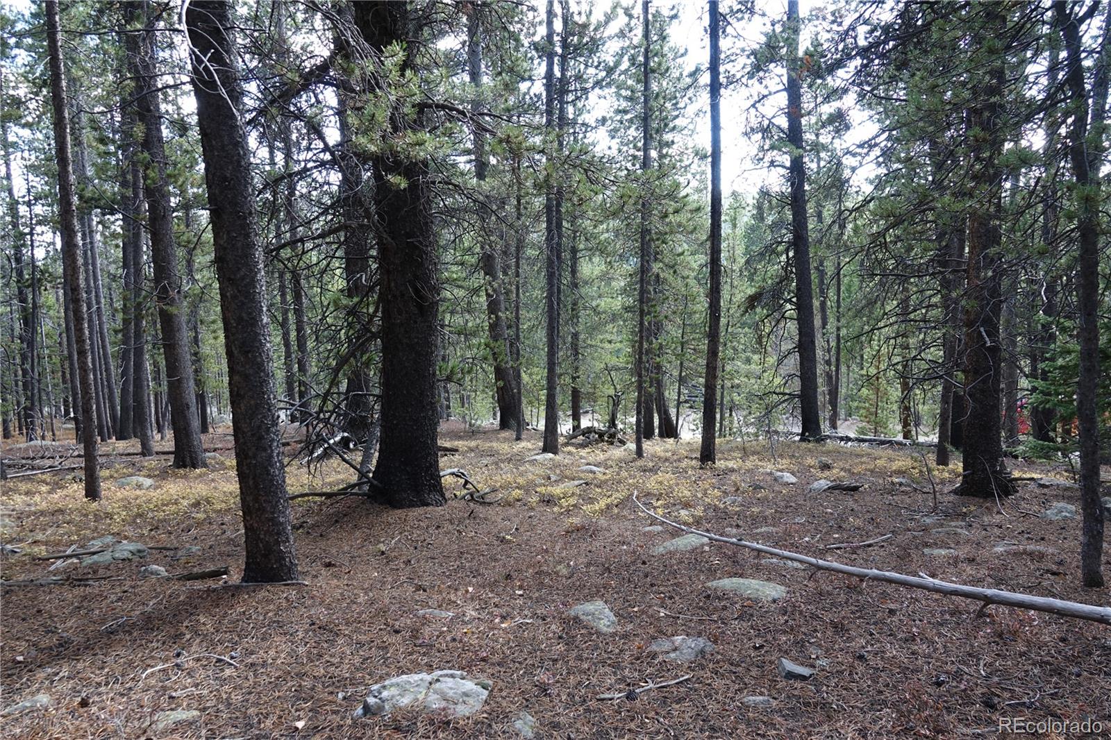 000 Loch Lomond Road & Vista Road Idaho Springs CO 80452
