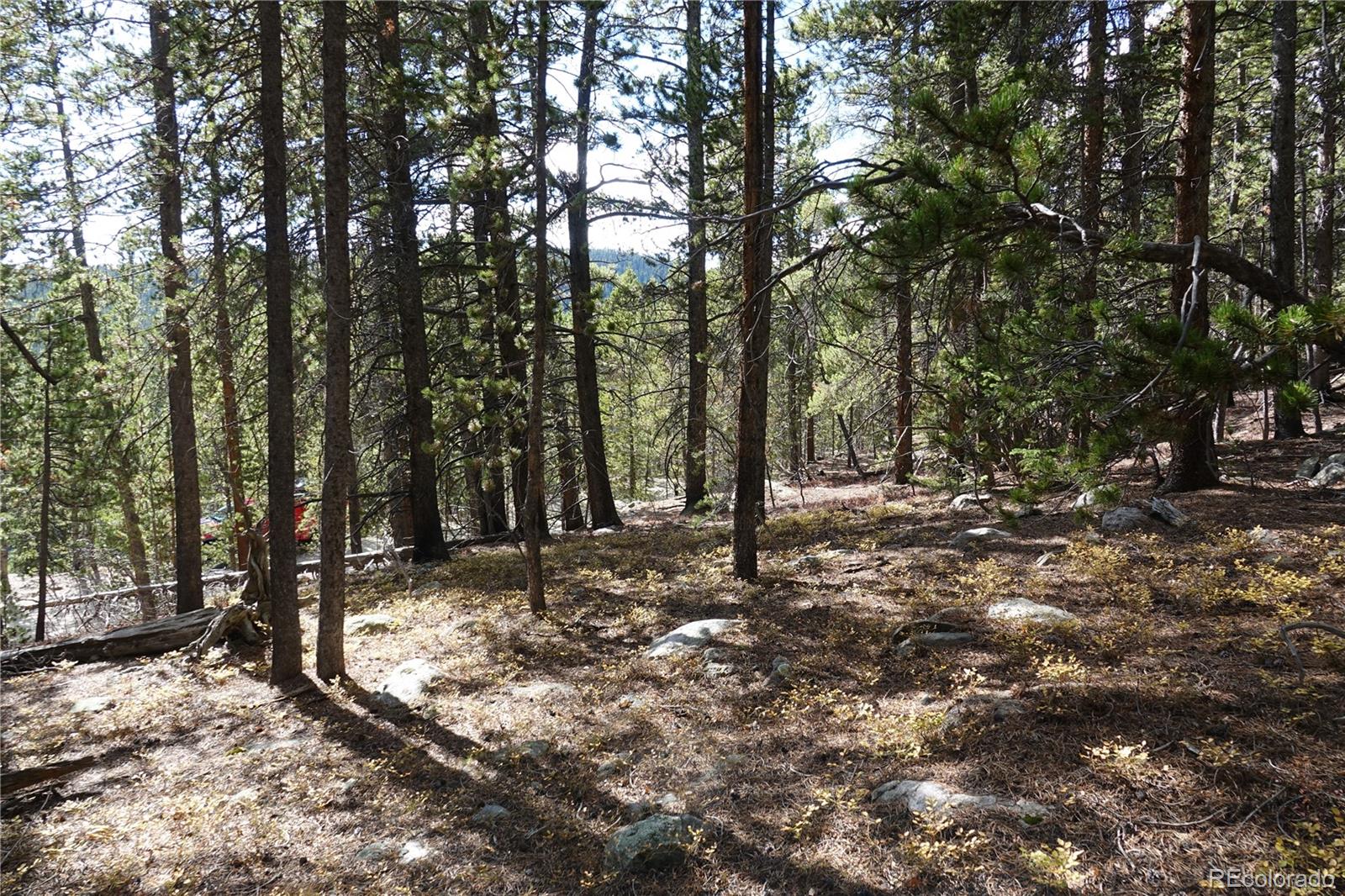 000 Loch Lomond Road & Vista Road Idaho Springs CO 80452