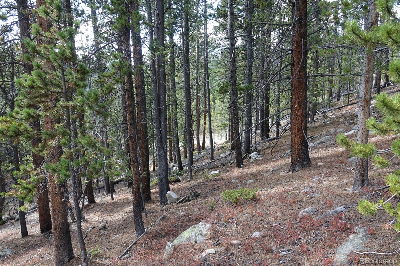 000 Loch Lomond Road & Vista Road Idaho Springs CO 80452