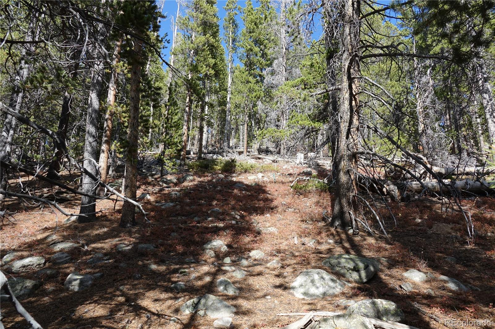 000 Loch Lomond Road & Vista Road Idaho Springs CO 80452