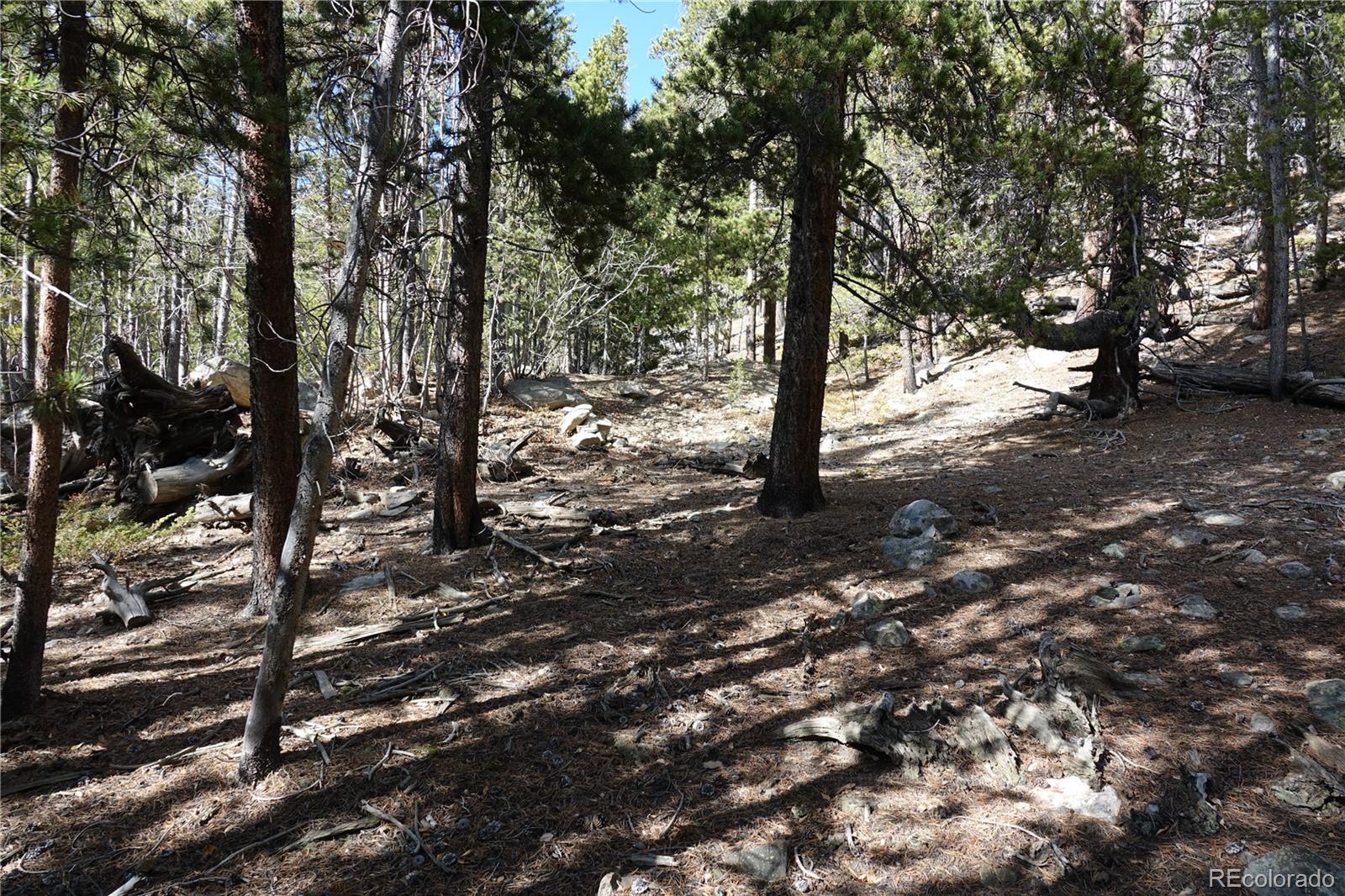 000 Loch Lomond Road & Vista Road Idaho Springs CO 80452
