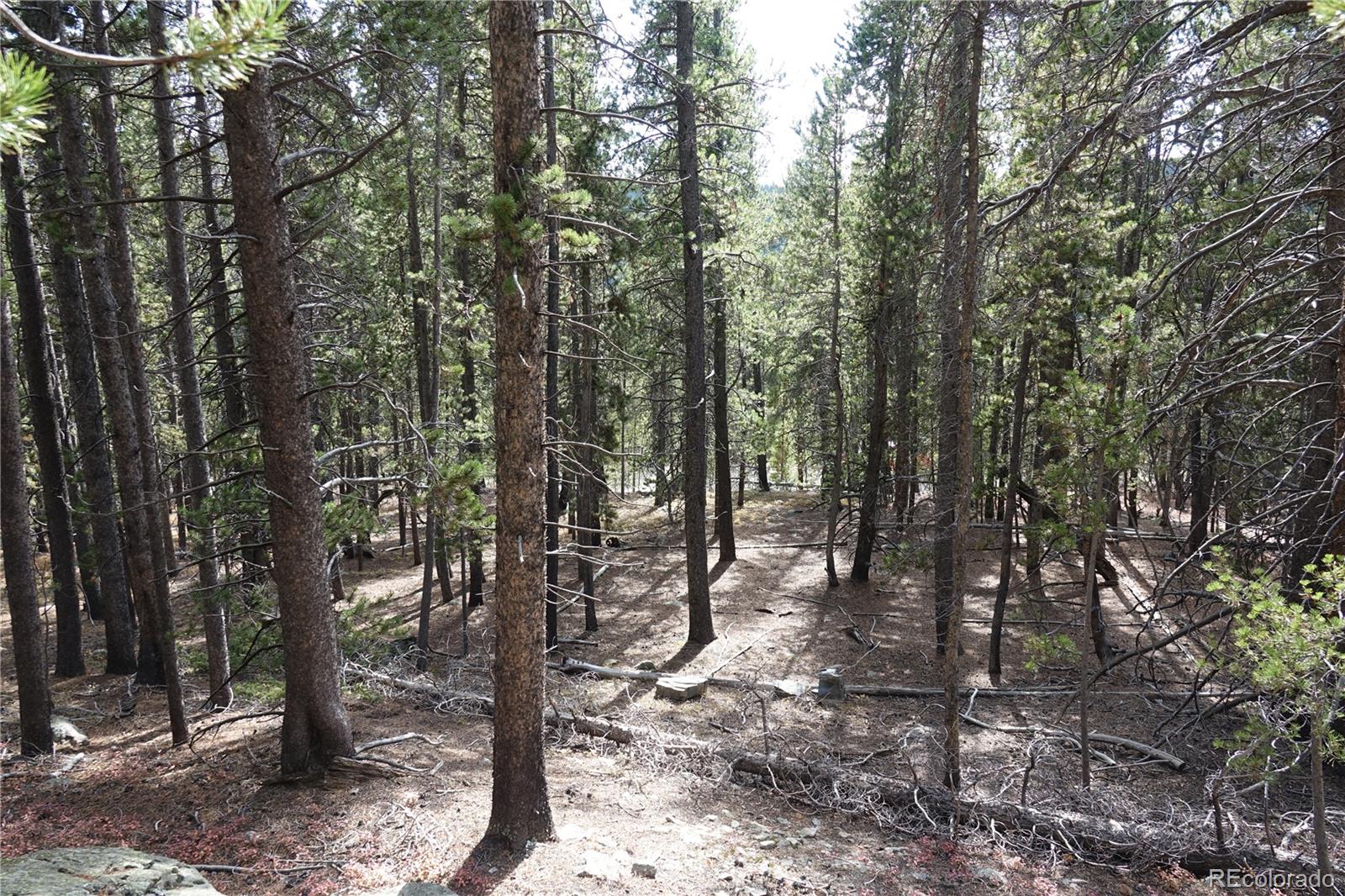 000 Loch Lomond Road & Vista Road Idaho Springs CO 80452
